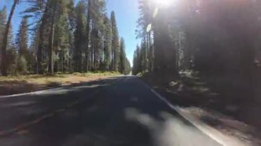 Volkanik Miras Manzarası Shasta McCloud 'dan Curtis 02 Ön Manzara Sürücü Plakası Kaliforniya Ultra Geniş ABD