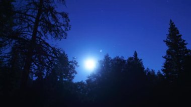 Dolunay Güneydoğu Gökyüzünde Zaman Hızını Yükseltti Çam Ormanlarının Üzerinde Pan R Eğilimi Astrofotoğrafçılık