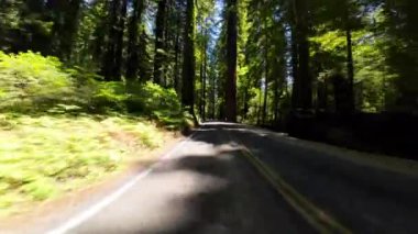 Devlerin Redwood Bulvarı 3 Landsdale Korusu 03 Arka Görüş Kaliforniya Ultra Geniş Sürücü Plakaları