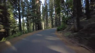 Sequoia Ulusal Parkı Crescent Meadow Yolu 11 Çok Kameralı Arka Görüntü Sürücü Plakası Sierra Nevada California Dağı ABD