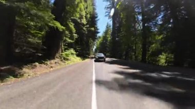 Devlerin Redwood Bulvarı 4 Bolling Grove 02 Arka Görüş Kaliforniya Ultra Geniş Plakası