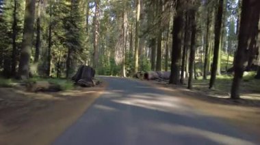 Devlerin Redwood Bulvarı 4 Bolling Grove 02 Arka Görüş Kaliforniya Ultra Geniş Plakası