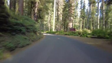 Devlerin Redwood Bulvarı 4 Bolling Grove 02 Arka Görüş Kaliforniya Ultra Geniş Plakası