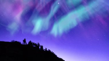 Aurora ve Samanyolu Galaksisi Zevk Döngüsü