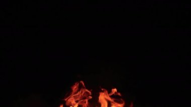 Devlerin Redwood Bulvarı 4 Bolling Grove 02 Arka Görüş Kaliforniya Ultra Geniş Plakası