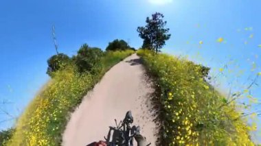 Devlerin Redwood Bulvarı 4 Bolling Grove 02 Arka Görüş Kaliforniya Ultra Geniş Plakası