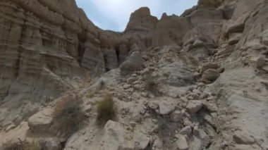 Devlerin Redwood Bulvarı 4 Bolling Grove 02 Arka Görüş Kaliforniya Ultra Geniş Plakası