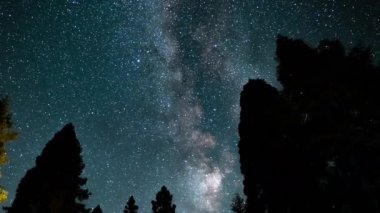 Devlerin Redwood Bulvarı 4 Bolling Grove 02 Arka Görüş Kaliforniya Ultra Geniş Plakası