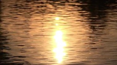 Devlerin Redwood Bulvarı 4 Bolling Grove 02 Arka Görüş Kaliforniya Ultra Geniş Plakası