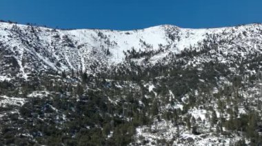 Devlerin Redwood Bulvarı 4 Bolling Grove 02 Arka Görüş Kaliforniya Ultra Geniş Plakası