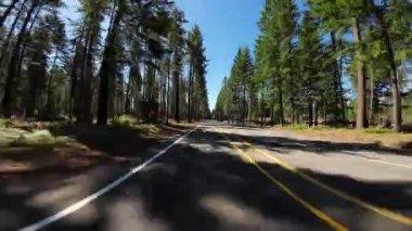 American Northwest Orman Otoyolu 01 Arka Görünüm Sürücü Plakası Oregon ABD Ultra Geniş Geniş