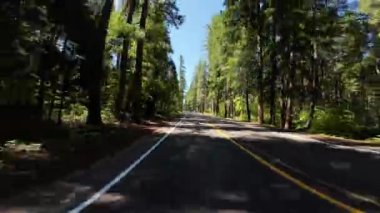 American Northwest Orman Otoyolu 02 Arka Görünüm Sürücü Plakası Oregon ABD Ultra Geniş Geniş