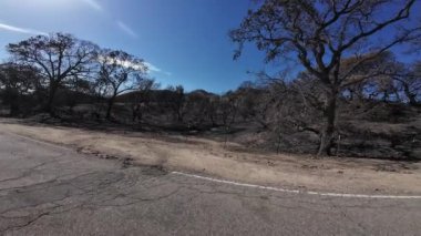 California Wildfire Yanan Orman Yangını Kaliforniya ABD