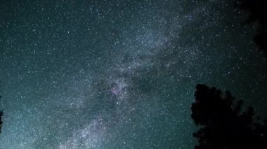 Sequoia Millî Parkı Samanyolu Galaksisi Güneybatı Perseid Meteor Yağmuru Sierra Nevada Dağları Kaliforniya ABD