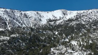 Kış Harikalar Diyarı San Gabriel Mt. Kaliforniya 'daki Karlı Dağ Ormanı Hava Görüntüleri