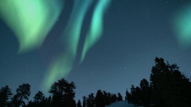 Aurora Yeşili Yıldızlı Gökyüzünde Karla kaplı Alp Ormanı 02 döngüsünde