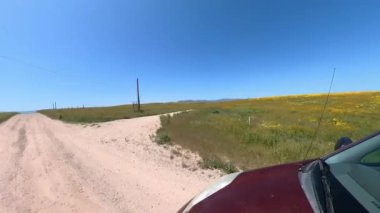 Carrizo Ovası Ulusal Anıt Süper Bloom off Road Driving Plate Front Sağ Manzara 01 Kaliforniya ABD