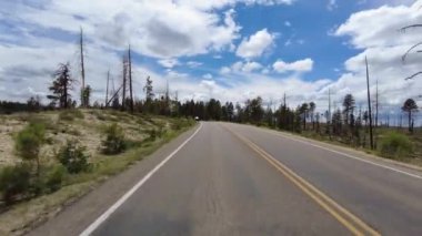 Bryce Kanyonu Sürücü Plakası Sahnesi Dr N 21 Arka Görüş Vahşi Yangın Utah Güneybatı Amerika 'ya Zarar Verdi