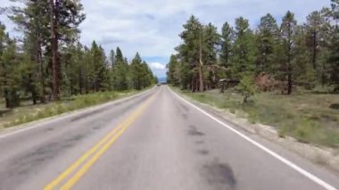 Bryce Kanyonu Sürücü Plaka Sahnesi Dr N 23 Front View Forest Utah Güneybatı ABD