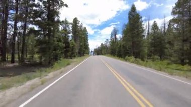 Bryce Kanyonu Sürücü Plakası Sahnesi Dr N 23 Arka Görüş Ormanı Utah Güneybatı ABD