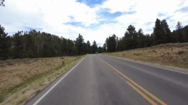 Bryce Kanyonu Sürücü Plakası Sahnesi Dr N 25 Arka Görünüm Ormanı Utah Güneybatı ABD