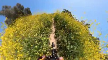 Kenneth Hahn Park Super Bloom at Trail Cycling POV 01 Los Angeles California ABD