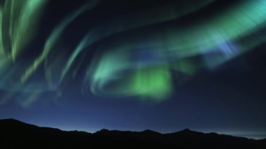 Aurora Yıldızlı Gökyüzü Gece Güzelliği Dağ Ormanı Döngüsünde