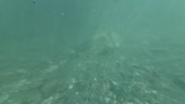 Nehir Dibi Sualtı Güneş Işığı Arkaplanı