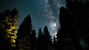 Güney Sierra Nevada Dağları 'ndaki Sequoia Ulusal Parkı Perseid Meteor Yağmuru ve Samanyolu Galaksisi ABD