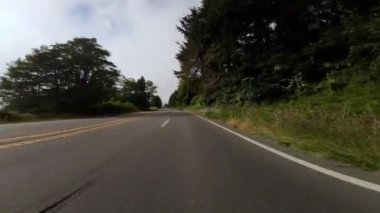 Foggy Coastal Highway 01 Front View 101 Kaliforniya 'nın kuzeye giden sürücü plakası.