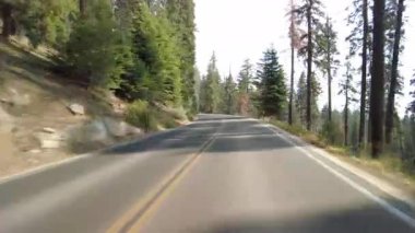 Sequoia Ulusal Parkı Generalleri Güney Karayolu 06 Multicam Ön Manzara Sherman Ağacı Sürücü Plakası Sierra Nevada California Amerika Birleşik Devletleri