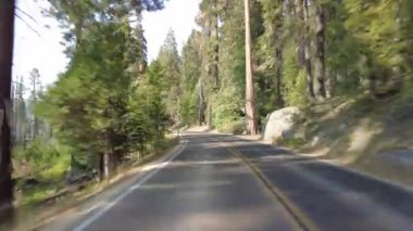 Sequoia Ulusal Parkı Generalleri Güney Karayolu 06 Multicam Arka Görünümü Sherman Ağacı Sürücü Plakası Sierra Nevada California ABD