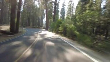 Sequoia Ulusal Parkı Generalleri Güney Otoyolu 10 Multicam Front View Dev Orman Sürücü Plakası Sierra Nevada California Dağı ABD