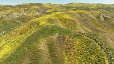 Carrizo Ovası Kaliforniya Goldfields Çiçekleri Süper Bloom 2023 Havadan Yörünge Çekimi Kaliforniya ABD