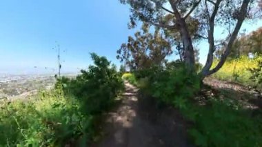 Kenneth Hahn Park Dağ Bisiklet Ormanı POV Ön Manzara 02 Kaliforniya ABD
