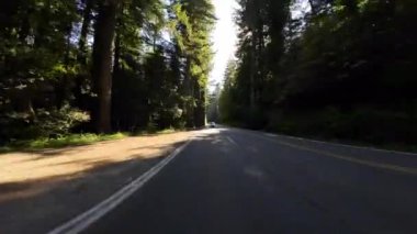 Redwood Ulusal Parkı Del Norte Sahili 07 Arka Manzara 101 Kuzey yönünde Kaliforniya plakası