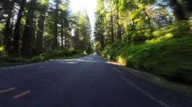 Redwood Ulusal Parkı Del Norte Sahili 09 Ön Manzara 101 Kuzey yönünde Kaliforniya plakası