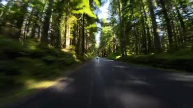Redwood Ulusal Parkı Del Norte Sahili 09 Arka Görünüm 101 Kuzey yönünde Kaliforniya plakası