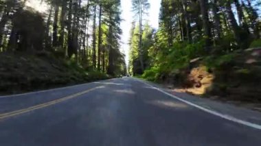 Redwood Ulusal Parkı Del Norte Sahili 10 Front View 101 Kuzey yönünde Kaliforniya plakası