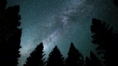 Sequoia Ulusal Parkı Perseid Meteor Yağmuru ve Samanyolu Galaksisi Güney-Batı Gök Sierra Nevada Dağları Kaliforniya ABD