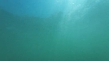 Ocean Sualtı Ağır çekim x4 120fps 'de çekilmiştir.
