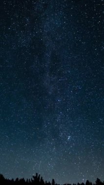 Dikey Andromeda Samanyolu Galaksisi Kuzey Gökyüzü Hızlandırılmış Astrofotoğrafında Yükseliyor