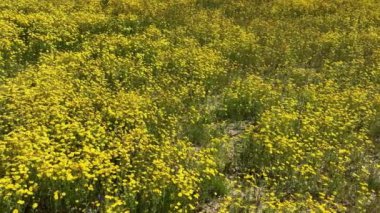 3D HUD Yayı Kırpılan Kırmızı X60 Derece VJ Döngü Canlandırması 02