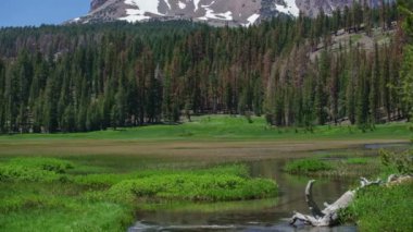 Lassen Volkanik Ulusal Parkı Lassen Tepesi Kings Creek Çayırı Zaman aşımı Pan L California ABD