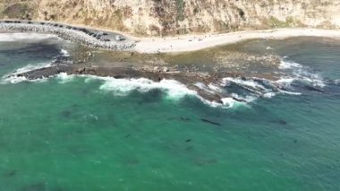 Kaliforniya Sahil Hattı Kraliyet Palm Beach Yörüngesi Havadan Çekimi L San Pedro California ABD
