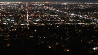 Los Angeles Night Skyline California ABD