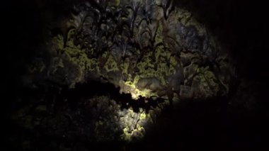 Altın Kubbe Mağara POV Mağara Mağarası Lav Yatakları Ulusal Anıtı Kaliforniya ABD