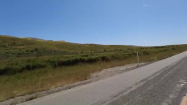 Carrizo Ovası 58 Doğu Karayolu 03 Sol Çeyrek Kaliforniya Süper Bloom ABD