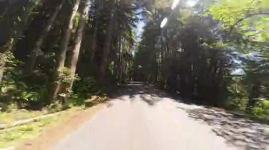 Redwood Ulusal Parkı Lady Bird Johnson Grove 04 Arka Manzara Sürücü Plakası Kaliforniya ABD Ultra Geniş Geniş