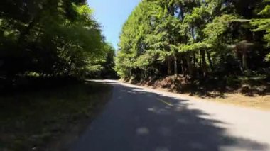 Redwood Ulusal Parkı Lady Bird Johnson Grove 06 Arka Manzara Sürücü Plakası Kaliforniya ABD Ultra Geniş Geniş